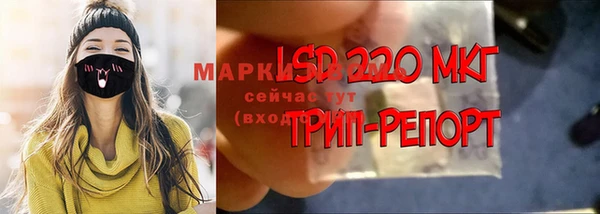амф Алексин