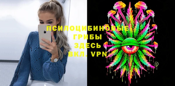 амф Алексин