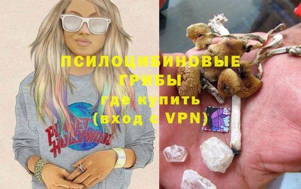 амф Алексин